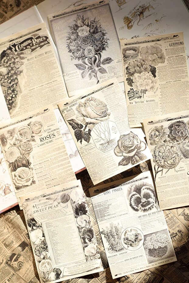 Vintage Floral Themed Newspaper Scrapbook Paper / Journal & Scrapbooking, Collage