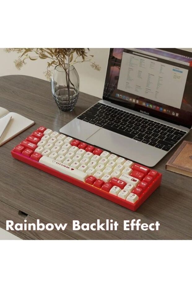 AK680 Kablolu Red Switch Mekanik Klavye-Rainbow Aydınlatma Hot-Swap - 3