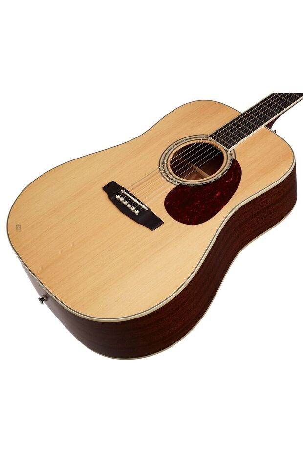 Akustik Earth100ns - 2