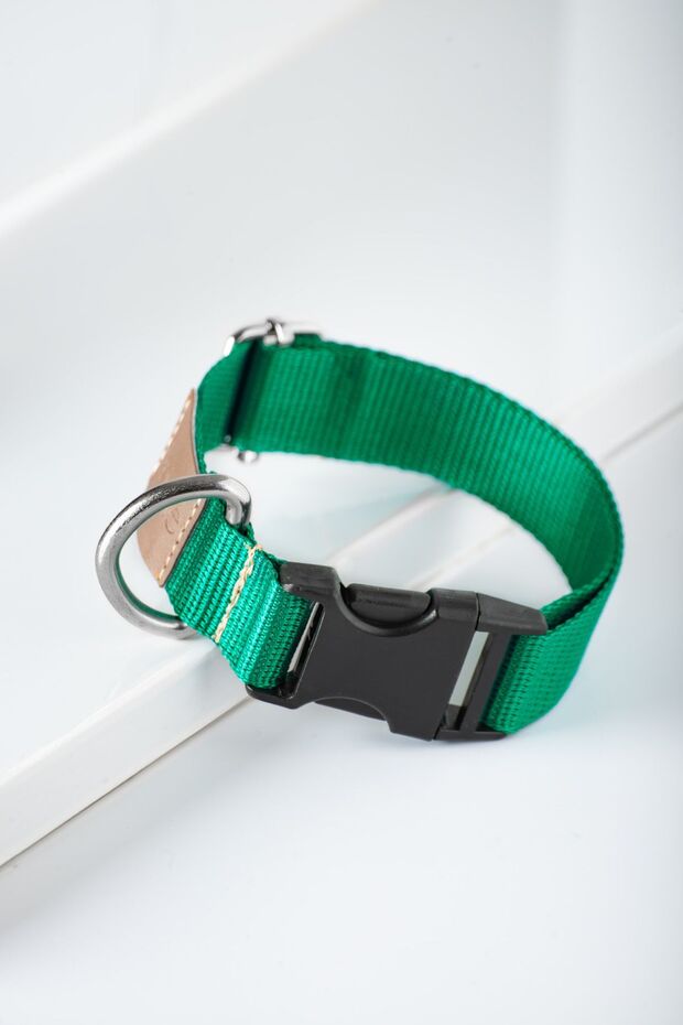 Köpek Boyun Tasması, Köpek Tasması , Ayarlanabilir, Sağlam Köpek Tasması - Albero - 5