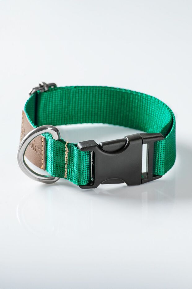 Köpek Boyun Tasması, Köpek Tasması , Ayarlanabilir, Sağlam Köpek Tasması - Albero - 6