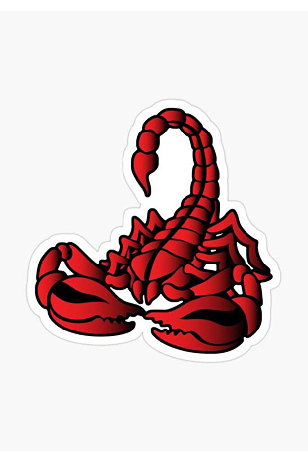 Scorpion Car, Motorcycle, Helmet, Laptop, Window Sticker 14x13 Cm