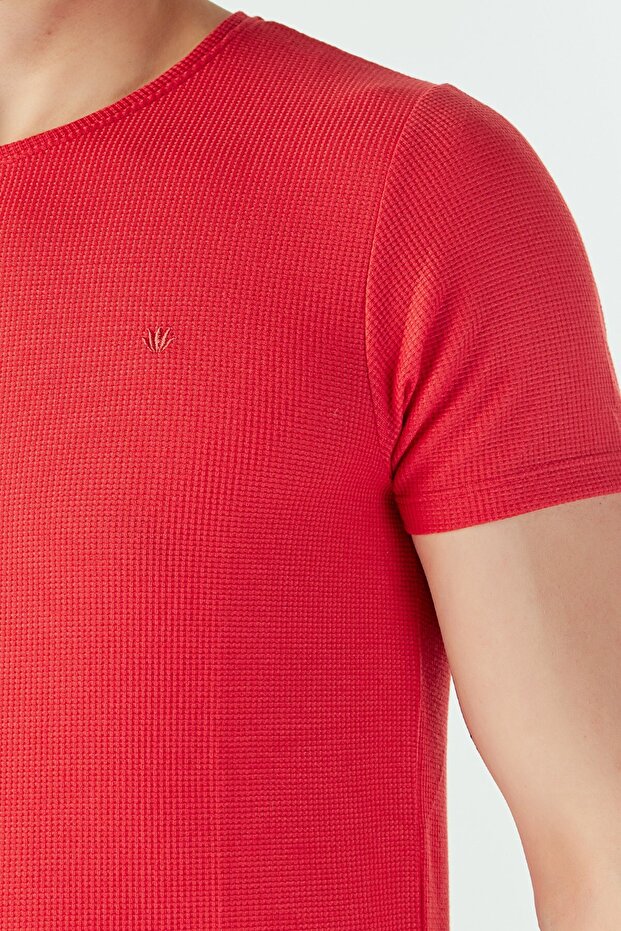 Crew Neck Basic T-Shirt - 2