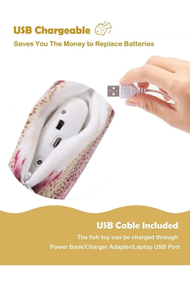 Hareketli Oynayan Balık - 3