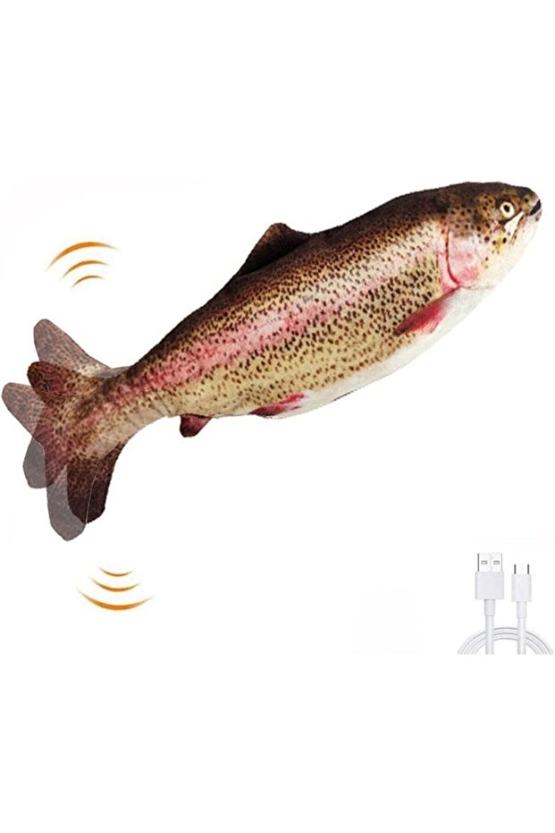 Hareketli Oynayan Balık - 1