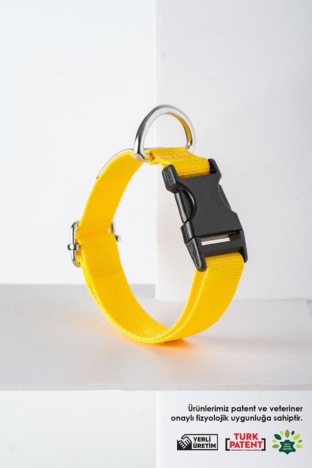 Köpek Boyun Tasması, Köpek Tasması , Ayarlanabilir, Sağlam Köpek Tasması - Sole - 1