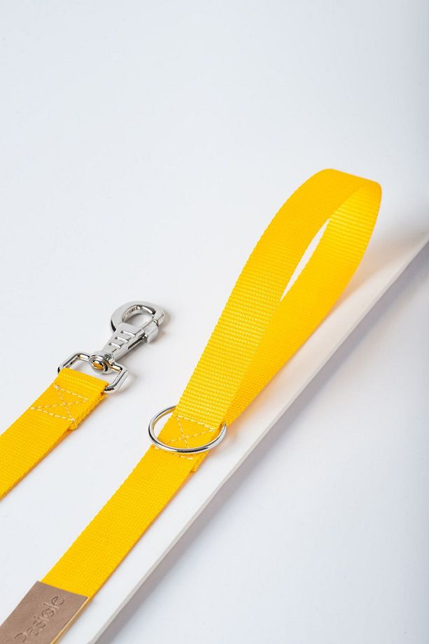 Köpek Tasması, Köpek Gezdirme Askı Kayışı , Ayarlanabilir, Sağlam Köpek Tasması - Giallo - 3