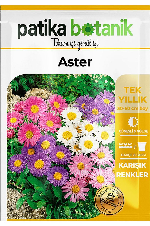 50 Adet Aster Çiçeği Tohumu - 2