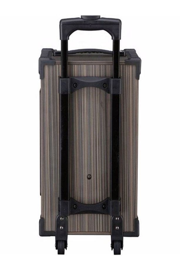 Lt-910 Şarjlı Kumandalı Çift Mikrofonlu Hoparlör Karaoke Sistemi 80 Watt Taşınabilir Amfi Hoparlör - 5