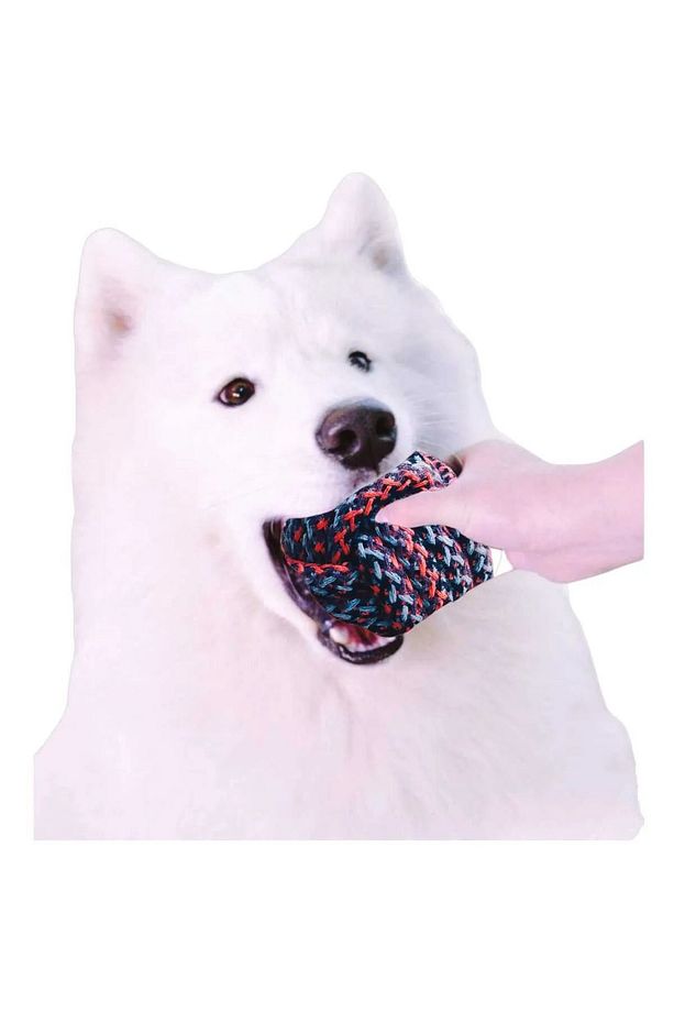 Köpek Diş Ipi Halat Isırma Çekme Oyuncağı 3 Adet - 2