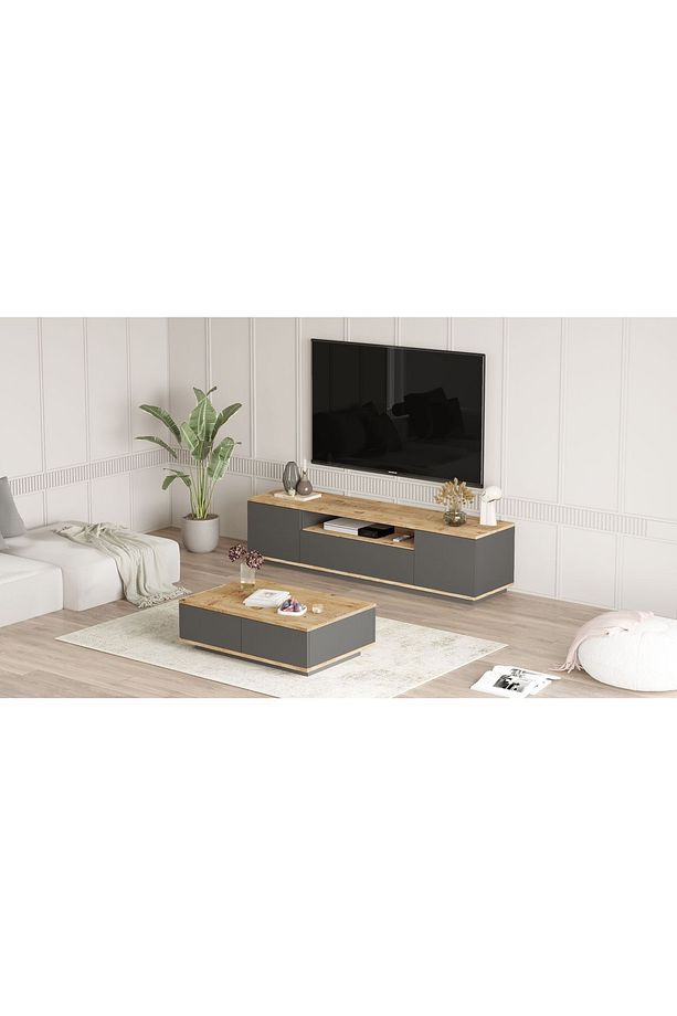 Delphin Tv Ünitesi Orta Sehpa 2'Li Set Çam-Antrasit DLP17-AA - 3