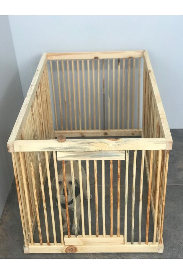 Ahşap kedi, köpek çiti - 3