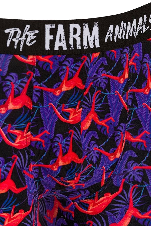 القرد الأحمر منقوشة الملاكمين - 3