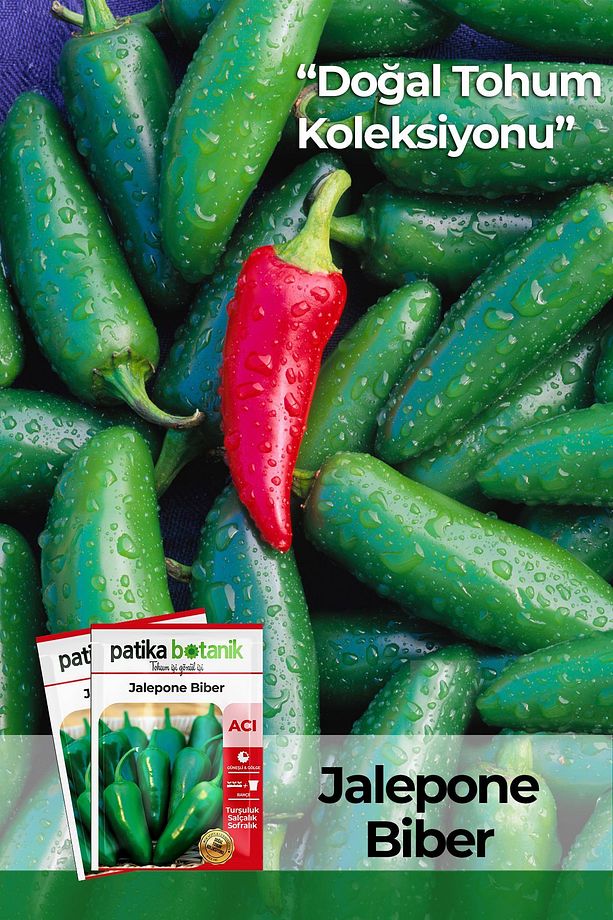 200 Adet Jalapeno Biber Tohumu - 1