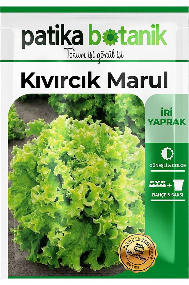 2000 Adet Kıvırcık Marul Tohumu - 3