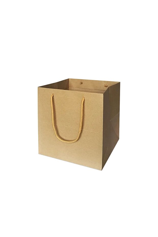 Kraft Cardboard''Cake'' Bag 20X20X20 cm (Pack of 10)
