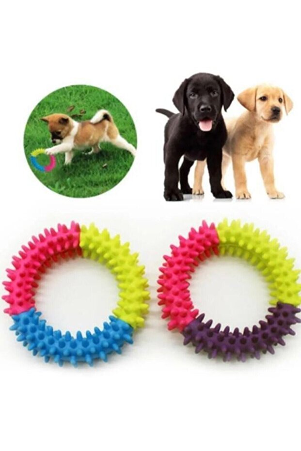 دائرة وحلقة عض الكلاب البلاستيكية مقاس 12 سم - 3