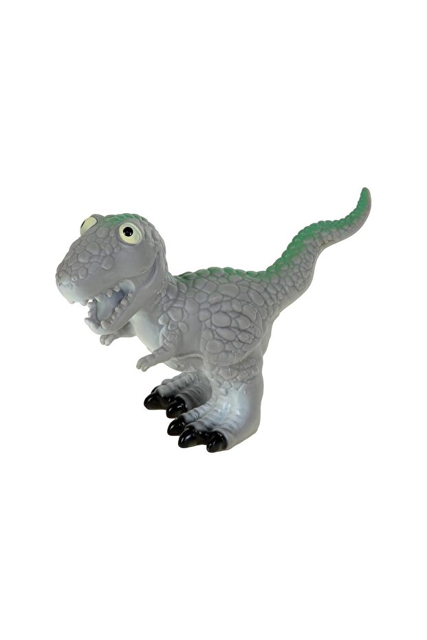 Kutuda Sesli Dinazorlar - 4