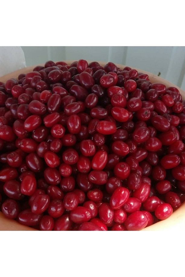 Kızılcık Kurusu Ev Yapımı 1kg - 1