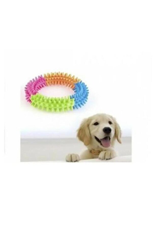 دائرة وحلقة عض الكلاب البلاستيكية مقاس 12 سم - 4