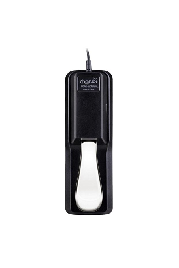 Wtb-005 Sustain Pedal - 1