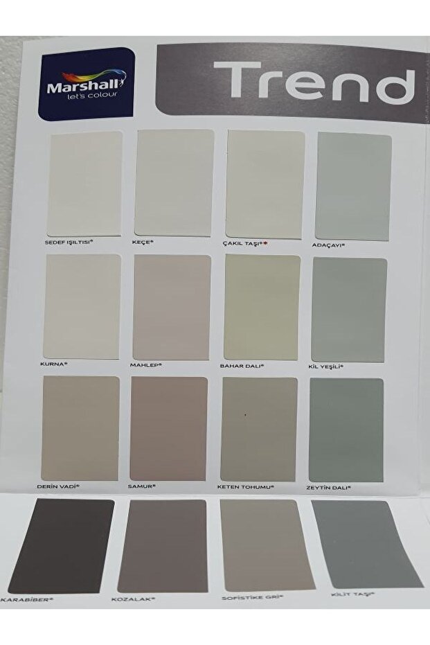 Silikonlu Özel Mat Boya 1 Lt - 2