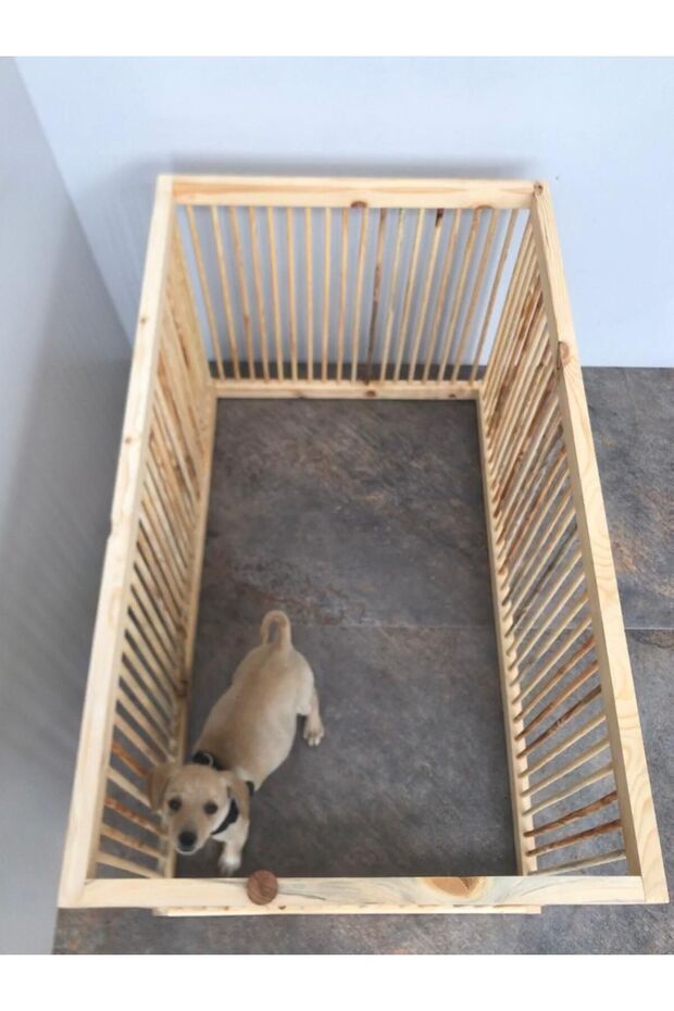 Ahşap kedi, köpek çiti - 4