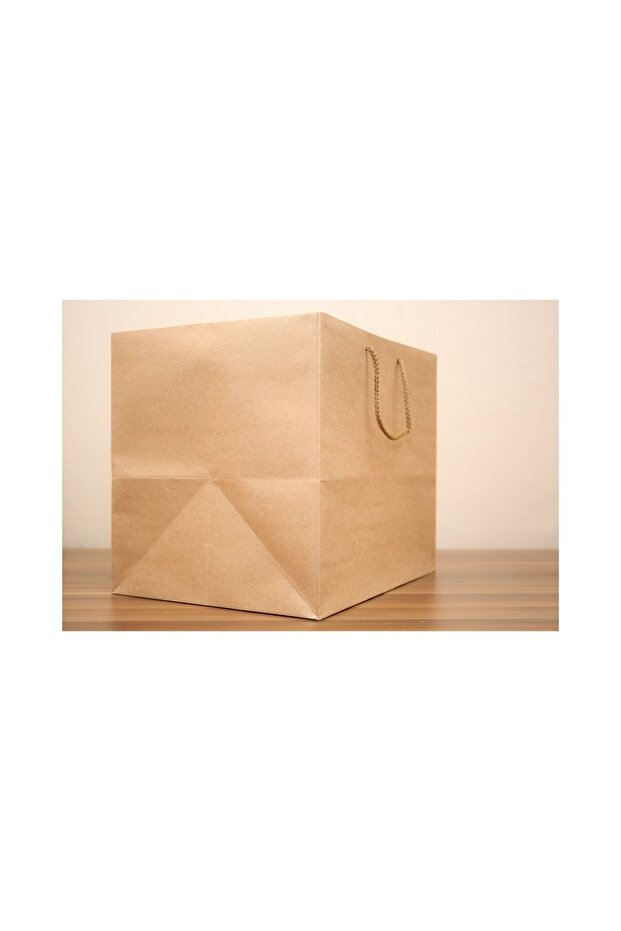 Kraft Cardboard ''cake'' Bag 27*35*30 Cm (Pack of 10)