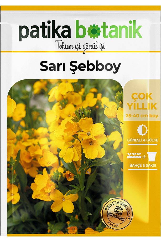 100 Adet Sarı Şebboy (CHEİRANTHUS CHEİRİ) Çiçek Tohumu - 2