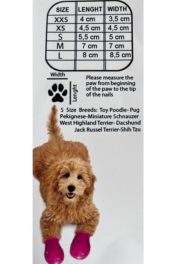 Walkies Köpek Ayakkabısı Galoş Patik - 5