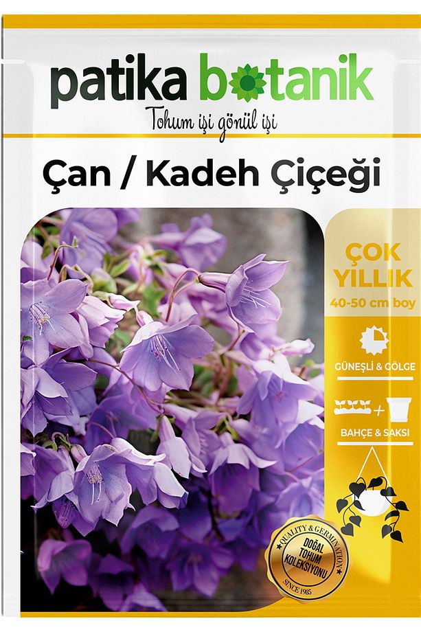 100 Adet Çan Kadeh (CAMPANULA L.) Çiçek Tohumu - 2