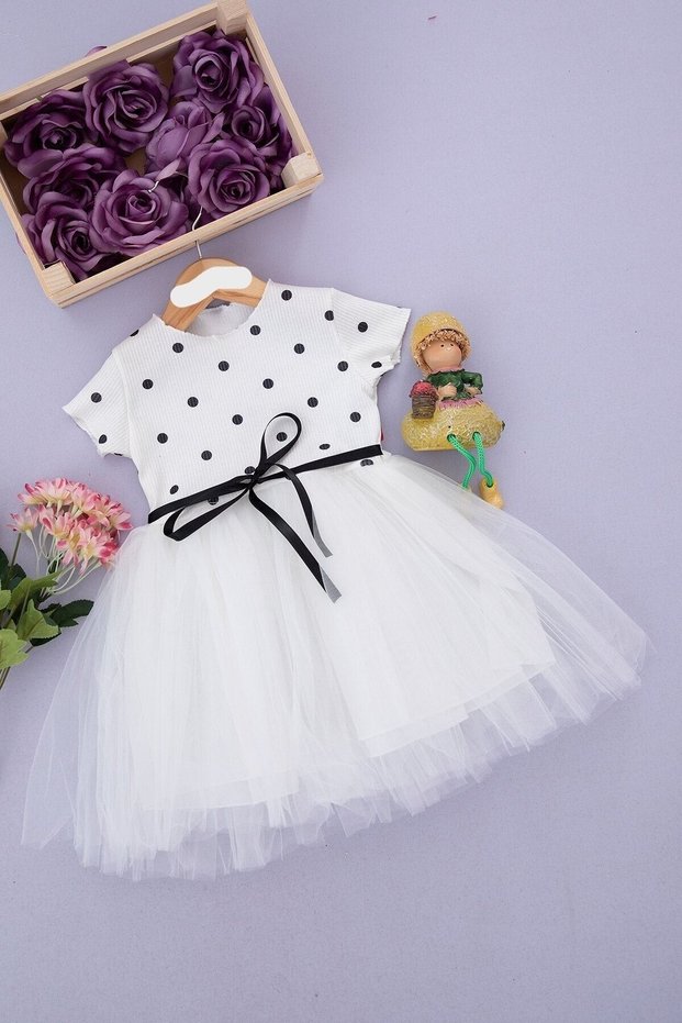2-4 Years Old Girl's Polka Dot Tulle Short Sleeve Dress