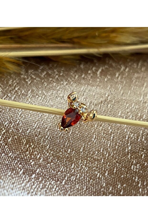 Akrep Piercing - 2