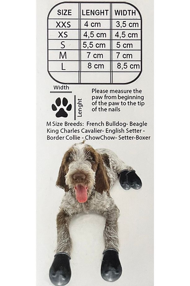 Walkies Köpek Ayakkabısı Galoş Patik - 6