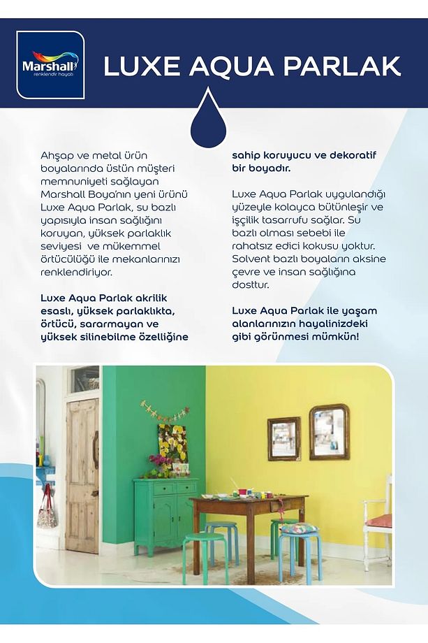 Luxe Aqua Parlak Su Bazlı Akrilik Dönüşüm Boyası 0,75 Lt Ahşap Ve Metal Boya Seti Zımpara Rulo Fırça - 3
