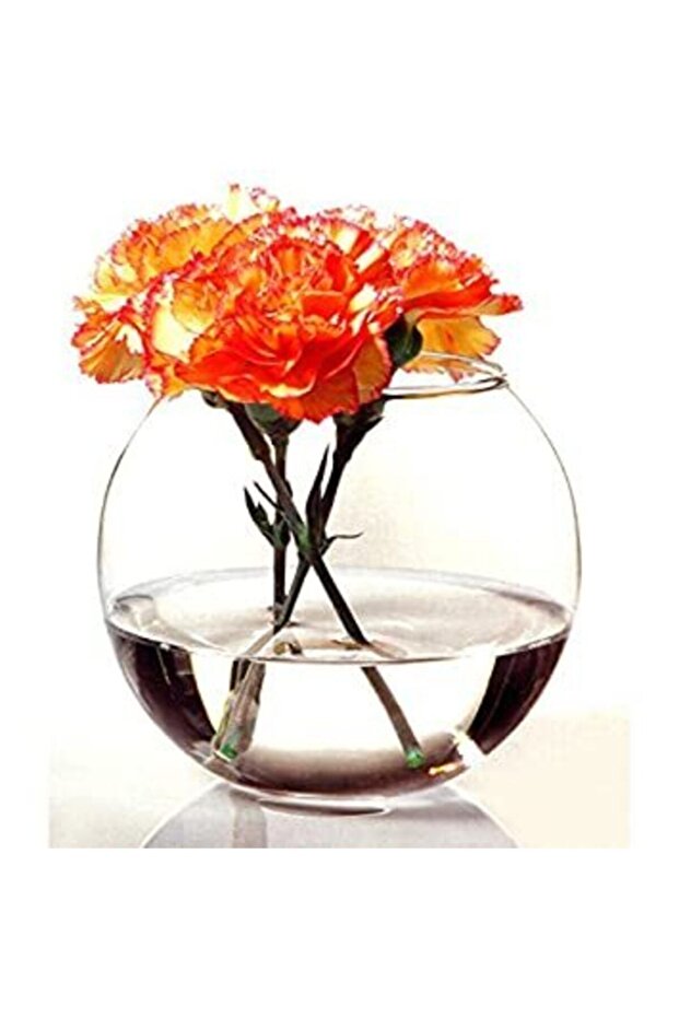 Aquarium Vase - Bell Jar Model