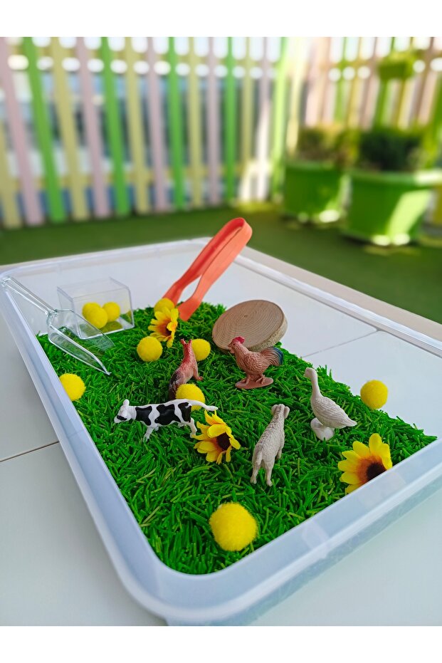 Farm Animals Themed Sensory Play Set (Ages 2-5) - Montessori Toy