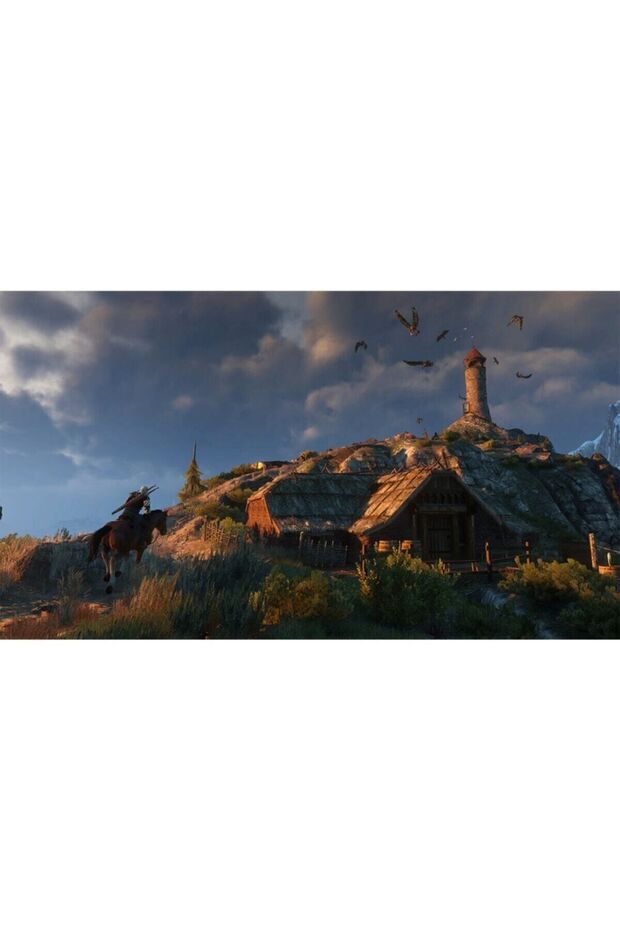The Witcher 3  Game Of The Year Edition Sıfır Ps4 Oyun - 7