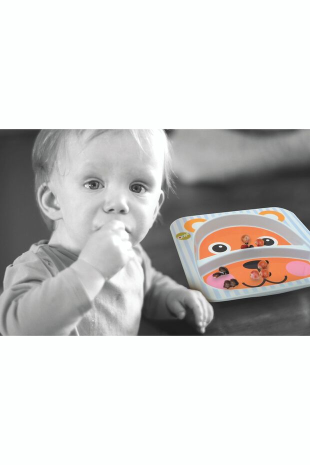 2 Gözlü Beslenme Tabağı Ayı - 3