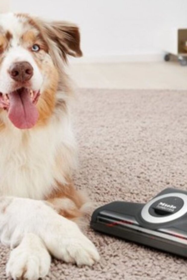 Turbo Yer Fırçası - 2