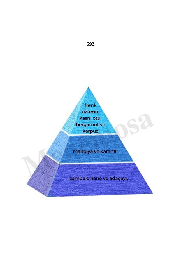 593 685 Erkek / Erkek Parfüm Edp 50 ml Fresh / Fresh - Mnms50593685 - 3