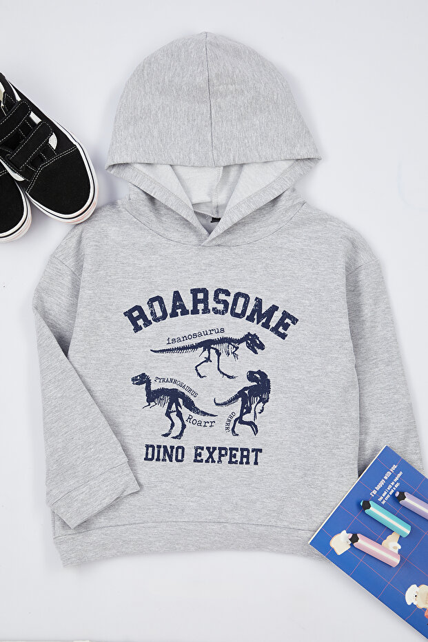 Gray Melange Boys Seasonal-Thin Dinosaur Patterned Hooded Knitted Sweatshirt Tkdaw25Sw00004