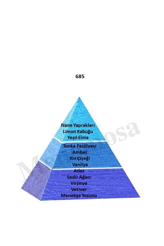 593 685 Erkek / Erkek Parfüm Edp 50 ml Fresh / Fresh - Mnms50593685 - 4