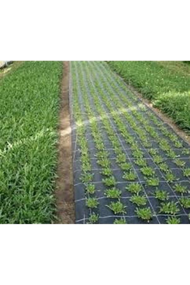 Jüt-sera Taban Örtüsü Siyah 3 X 15m - 2