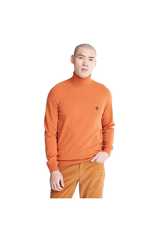 سترة السلحفاة النقدية - 1