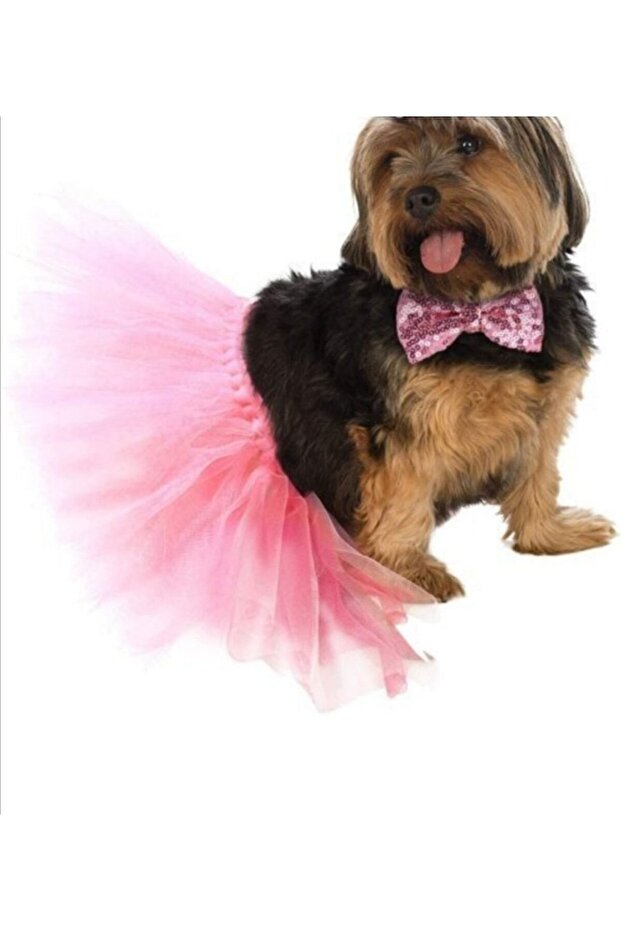 Canbutik Dog Tutu Skirt