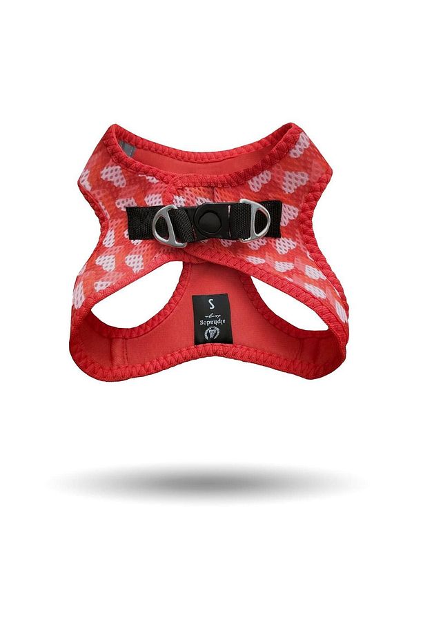 Lover Red Köpek Göğüs Tasması - 2