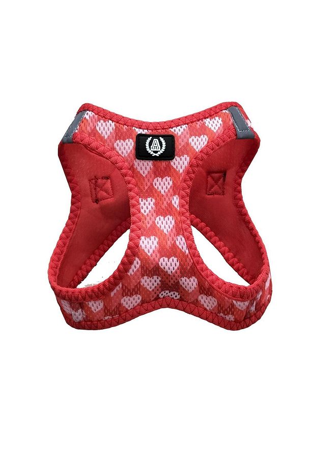 Lover Red Köpek Göğüs Tasması - 1