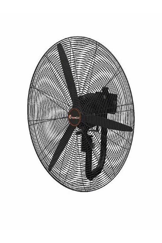 Sanayi Tipi Duvar Tipi Endüstriyel Vantilatör 75cm Fsv750-d - 1