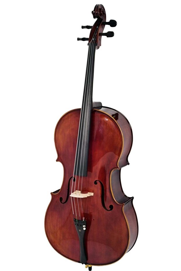 Cls470 Parlak Cilalı Ladin - Akçaağaç 4/4 Profesyonel Çello - 1